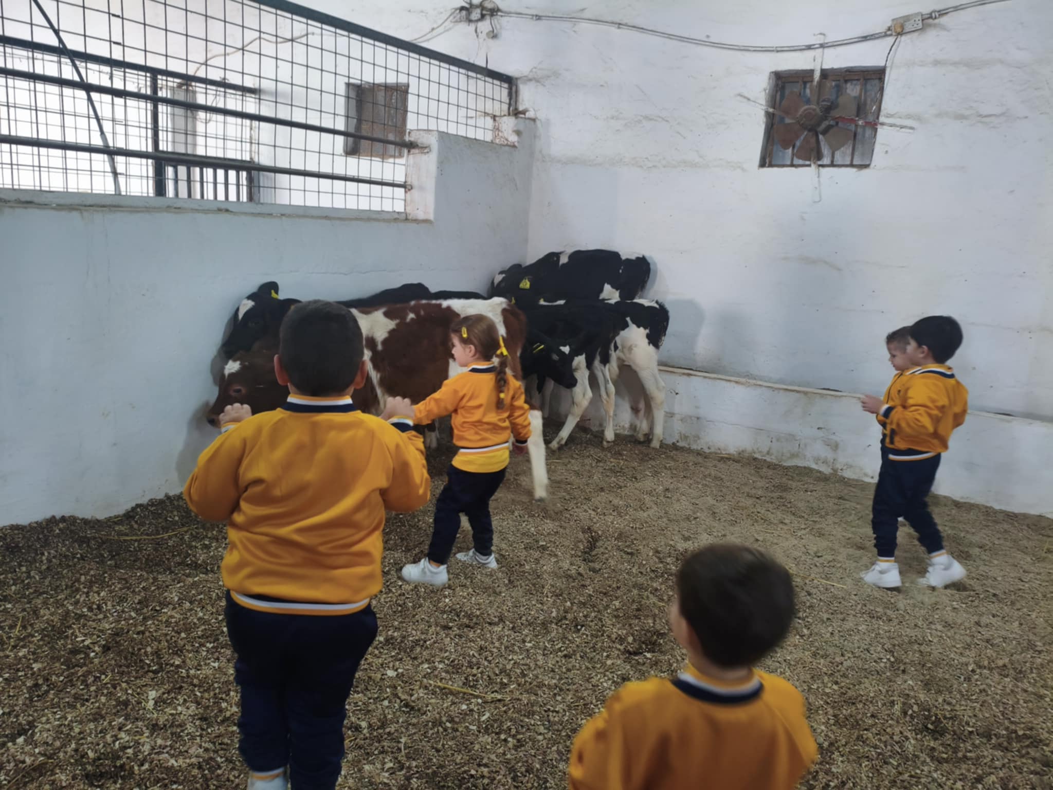 School event celebration